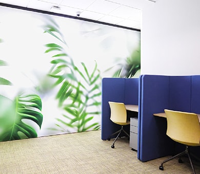 Why Choose The Company Singapore?